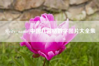 大丰中国九宫格数字图片大全集