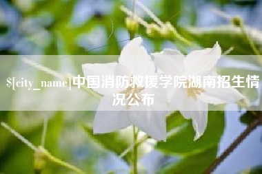 大丰中国消防救援学院湖南招生情况公布