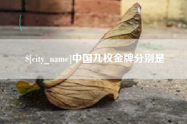 大丰中国九枚金牌分别是