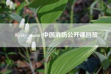 大丰中国消防公开课回放
