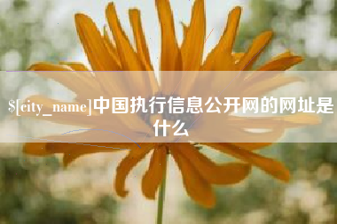 大丰中国执行信息公开网的网址是什么