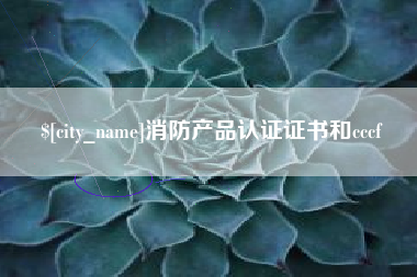 大丰消防产品认证证书和cccf