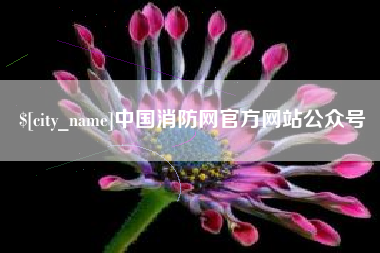 大丰中国消防网官方网站公众号