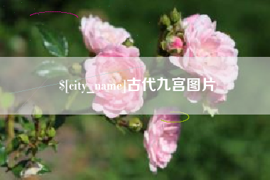 大丰古代九宫图片