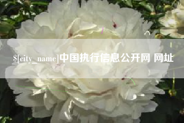 大丰中国执行信息公开网 网址