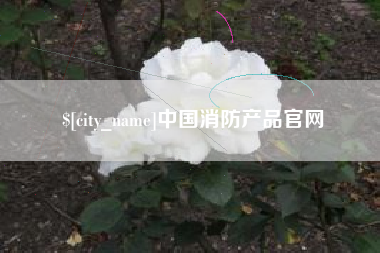 大丰中国消防产品官网
