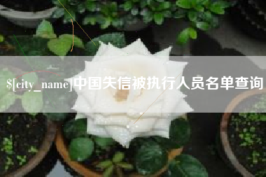 大丰中国失信被执行人员名单查询