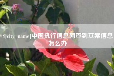 大丰中国执行信息网查到立案信息怎么办
