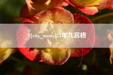 大丰21年九宫格