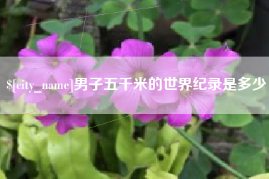 大丰男子五千米的世界纪录是多少