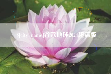 大丰谷歌地球2024超清版