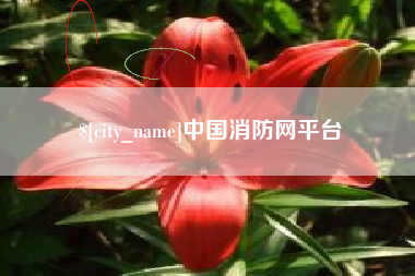 大丰中国消防网平台