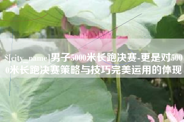 大丰男子5000米长跑决赛-更是对5000米长跑决赛策略与技巧完美运用的体现