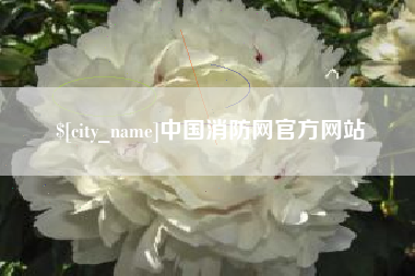 大丰中国消防网官方网站
