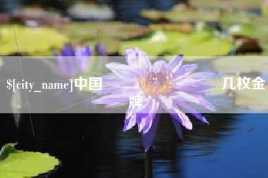 大丰中国🇨🇳几枚金牌