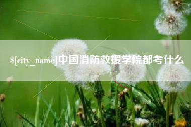 大丰中国消防救援学院都考什么