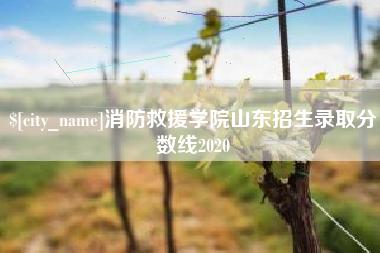 大丰消防救援学院山东招生录取分数线2020