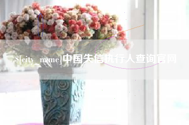 大丰中国失信执行人查询官网