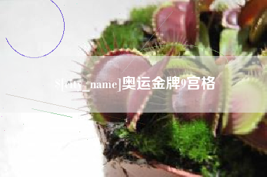 大丰奥运金牌9宫格