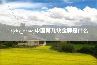 大丰中国第九块金牌是什么