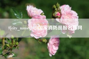 大丰2021国家消防员报名官网