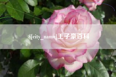 大丰王子豪百科