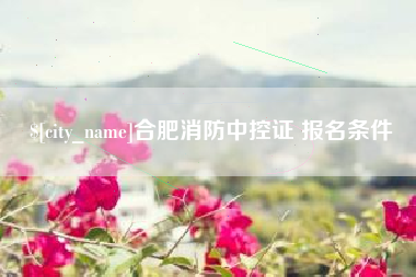 大丰合肥消防中控证 报名条件