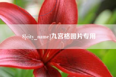大丰九宫格图片专用