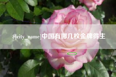 大丰中国有哪几枚金牌得主