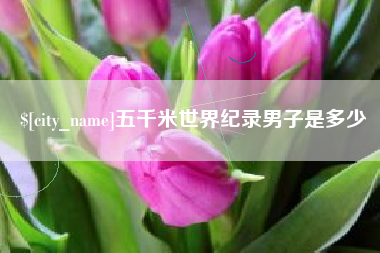 大丰五千米世界纪录男子是多少