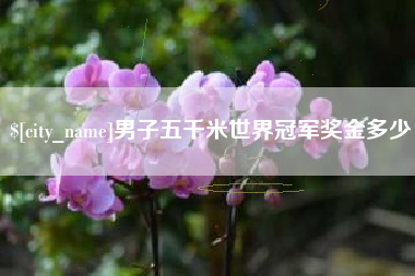 大丰男子五千米世界冠军奖金多少