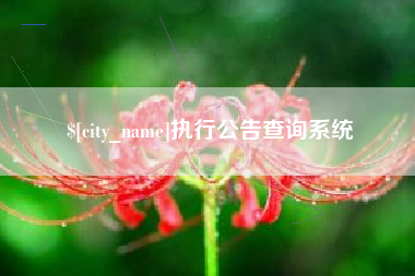 大丰执行公告查询系统