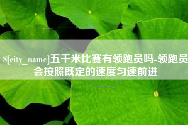大丰五千米比赛有领跑员吗-领跑员会按照既定的速度匀速前进