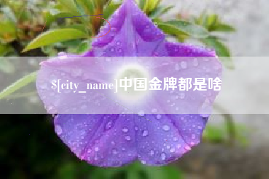 大丰中国金牌都是啥