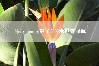 大丰男子5000米世界冠军