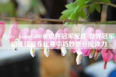 大丰5000米世界冠军配速-世界冠军们往往能在比赛中巧妙地分配体力