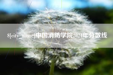 大丰中国消防学院2024年分数线