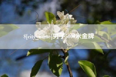 大丰男子5000米金牌
