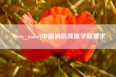 大丰中国消防救援学院要求