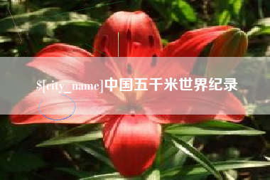 大丰中国五千米世界纪录
