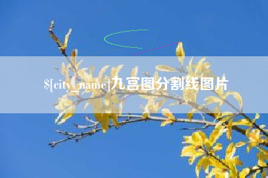 大丰九宫图分割线图片