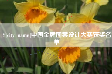 大丰中国金牌图案设计大赛获奖名单