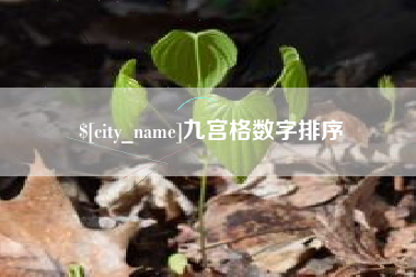 大丰九宫格数字排序
