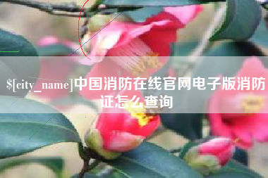 大丰中国消防在线官网电子版消防证怎么查询