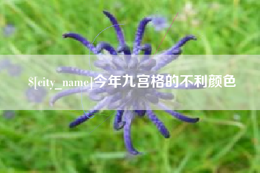 大丰今年九宫格的不利颜色