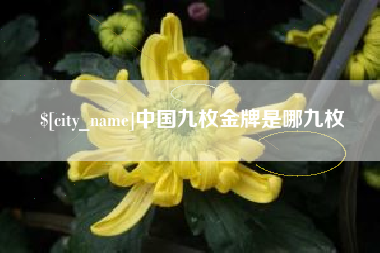 大丰中国九枚金牌是哪九枚