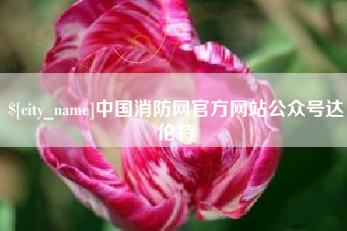 大丰中国消防网官方网站公众号达伦特