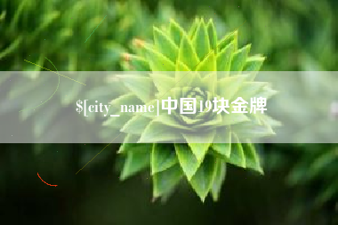 大丰中国19块金牌