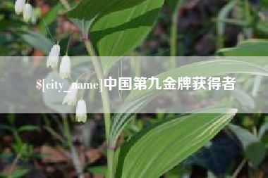 大丰中国第九金牌获得者