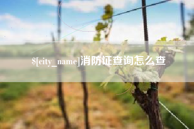 大丰消防证查询怎么查